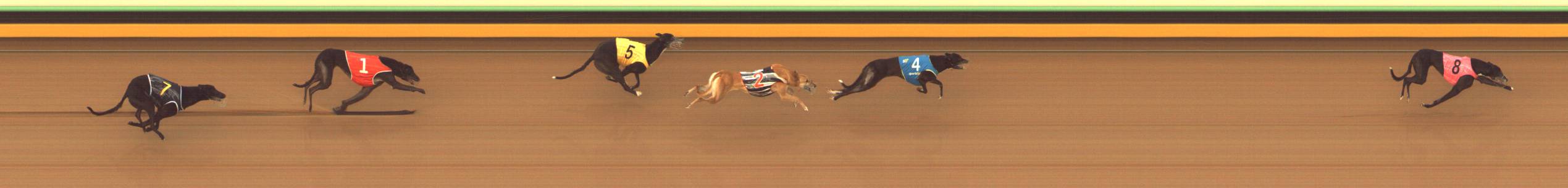 Race result finish photo